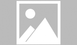 茄子短视频编导