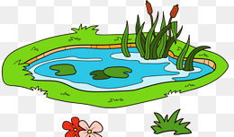 池塘漫画,揭秘水下生态的趣味故事